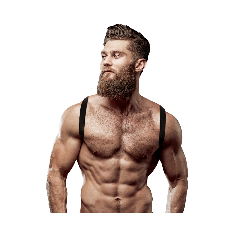 FETISH SUBMISSIVE ATTITUDE - COURO ECOLÓGICO BACK STRAP HARNESS HOMENS
