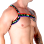 MACHO - RÖMISCHES GESCHIRR PRIDE S/M