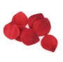 EXTASE SENSUAL - RED TEMPTATION CHEST