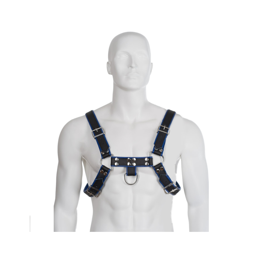 LEATHER BODY - BLUE AND BLACK LEATHER HARNESS CHEST BULLDOG