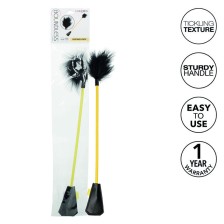 CALEXOTICS - BOUNDLESS...