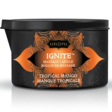 KAMASUTRA - BOUGIE DE MASSAGE MANCHE TROPICAL 170 GR