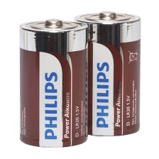 PHILIPS - PACCHETTO POWER ALKALINE PILA D LR20 2