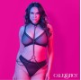 CALEXOTICS - EUPHORIA KETTENHALFTERHALSBAND UND LEINE, ÜBERGRÖSSE