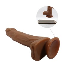 BAILE - BODACH REALISTIC VIBRATOR WITH REMOTE CONTROL SUCTION CUP