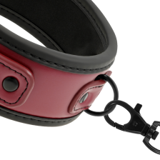 FETISH SUBMISSIVE DARK ROOM - COLLAR WITH LEASH WITH NEOPRENE LINING