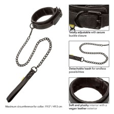 CALEXOTICS - BOUNDLESS HALSBAND UND LEINE