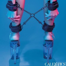 CALEXOTICS - EUPHORIA HOG TIE