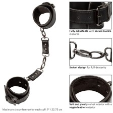 CALEXOTICS - EUPHORIA HAND CUFFS