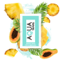 PACKAGING DISPONIBLE EN: /es/en/fr/de/pt/it/ro/el/ru/hu/
