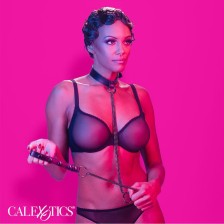 CALEXOTICS - EUPHORIA CHAIN HALTER COLLAR & LEASH