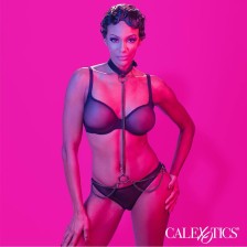 CALEXOTICS - EUPHORIA KETTENHALFTERHALSBAND UND LEINE