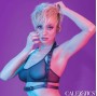 CALEXOTICS - EUPHORIA HALTER BUCKLE HARNESS BLACK