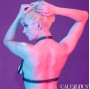 CALEXOTICS - EUPHORIA HALTER BUCKLE HARNESS BLACK