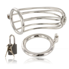 METAL HARD - BIRD CHASTITY RING CAGE