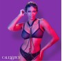 CALEXOTICS - EUPHORIA MULTICAIN ARREIO PREMIUM