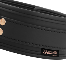 COQUETTE CHIC DESIRE - FANTASY VEGAN LEATHER COLLAR WITH NEOPRENE LINING