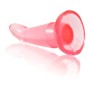 BAILE - PLUG ANAL GOP POINT ROSE