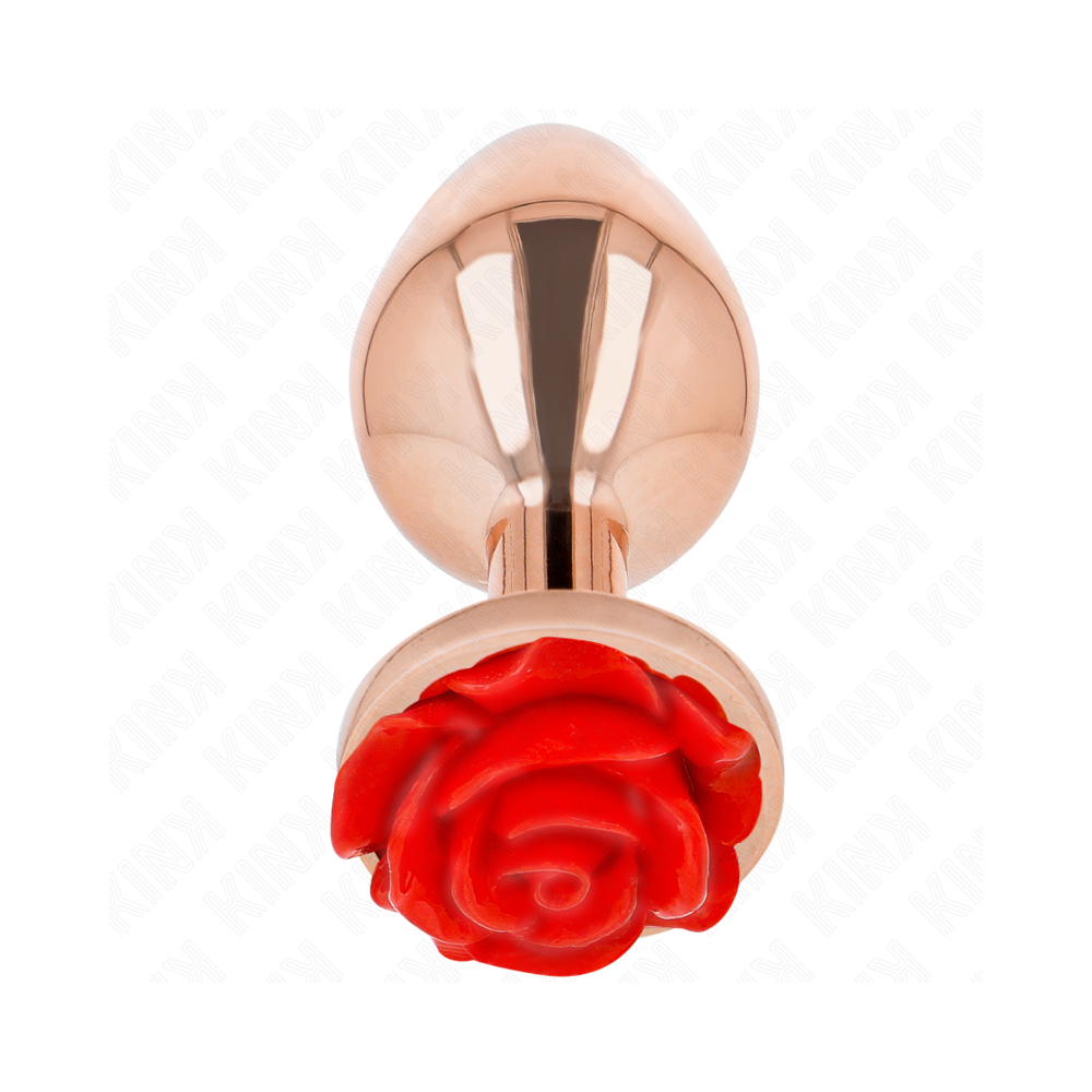 KINK - PLUG ANAL OR ROSE AVEC ROSE ROUGE L