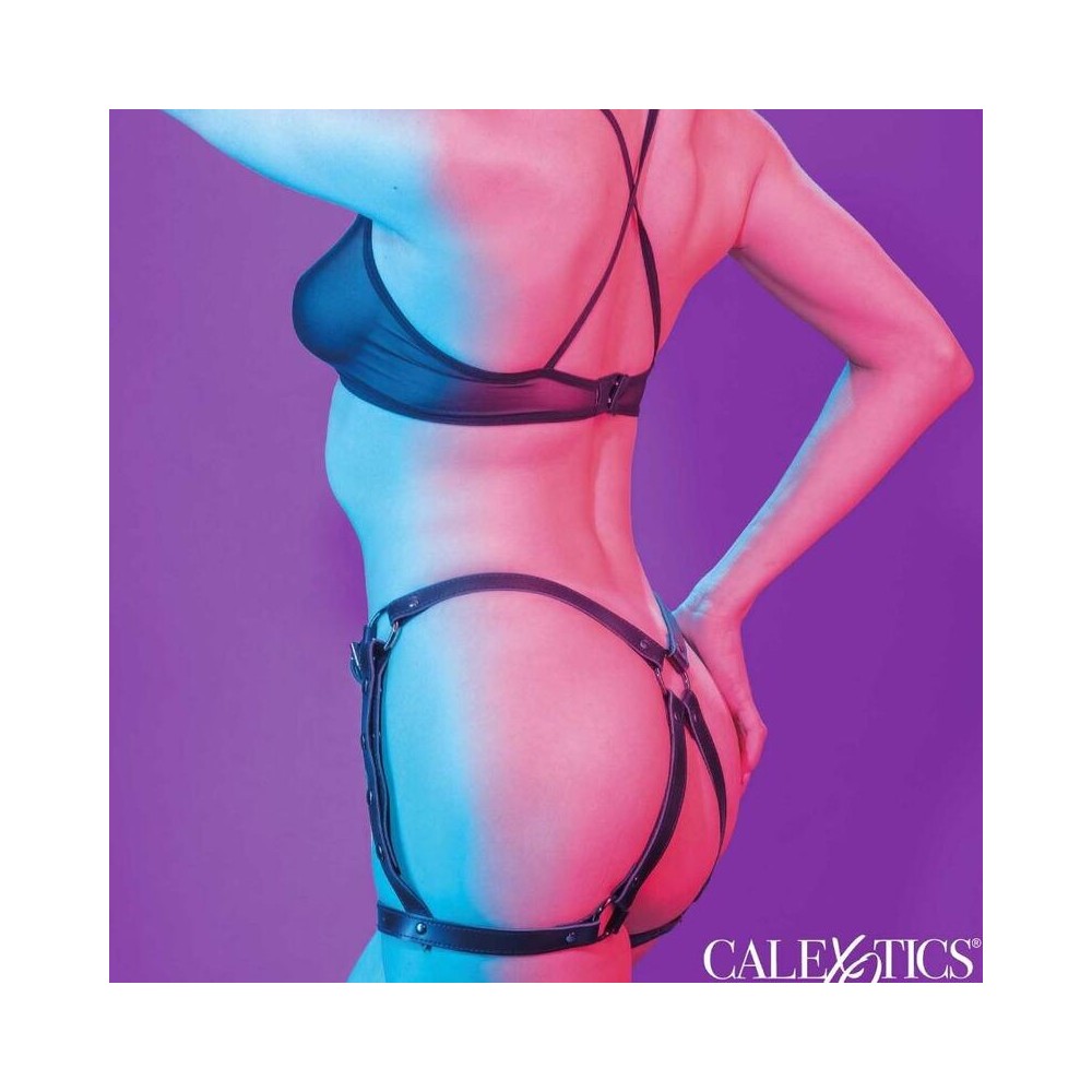 CALEXOTICS - EUPHORIA HARNAIS DE CUISSE DÉQUITATION