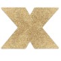 BIJOUX - INDISCRETS CAPAS DE BICOFLASH OURO
