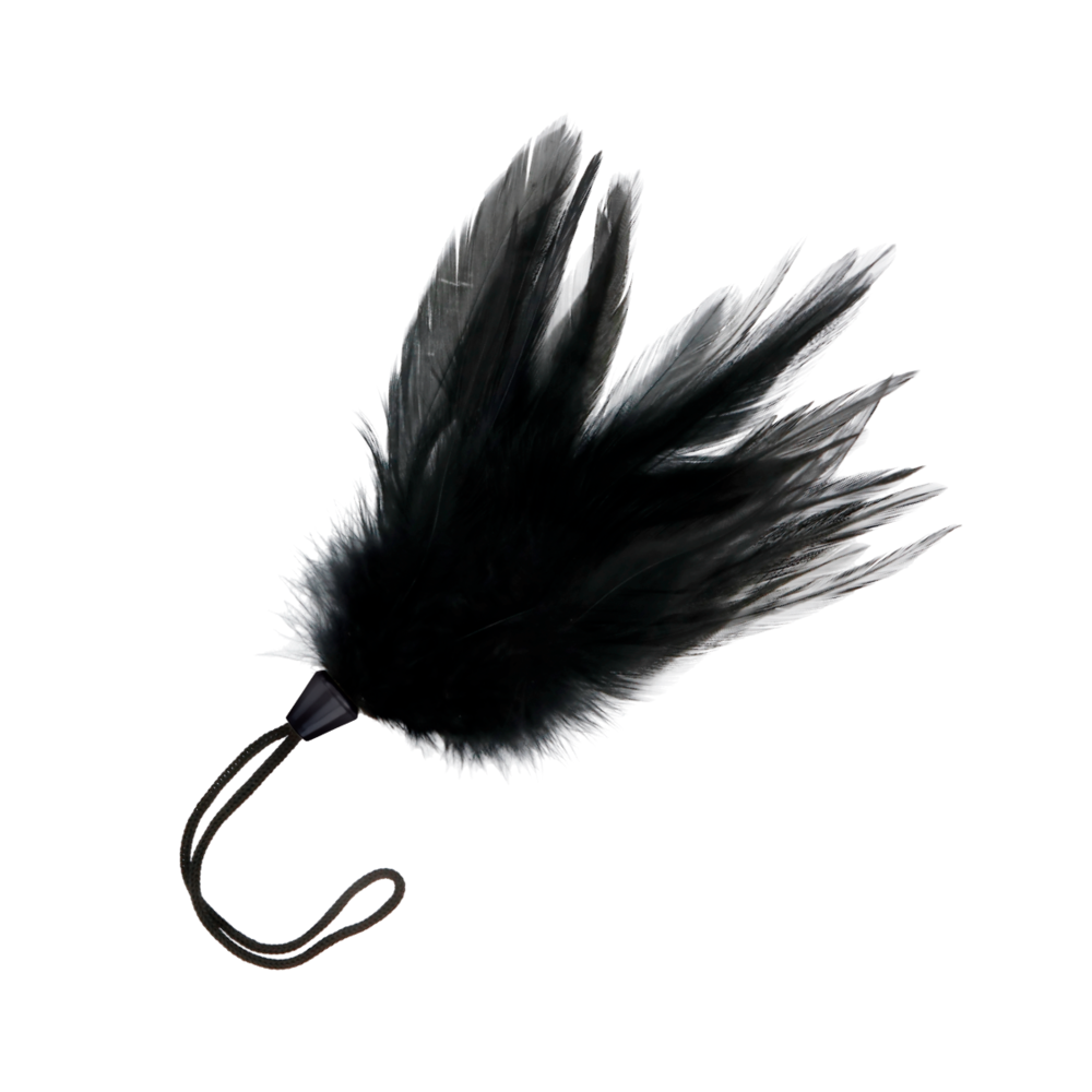 DARKNESS - PLUME NOIRE 17 CM