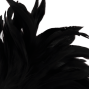 DARKNESS - PENA PRETA LUX