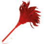 DARKNESS - RED FEATHER 24CM