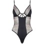 CASMIR - ORSACCHIOTTO LAGERTA S/M