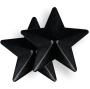 COQUETTE CHIC DESIRE - COPRI CAPEZZOLI BLACK STARS