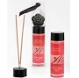EXTASE SENSUAL - ÓLEO DE MASSAGEM DE EFEITO DE CALOR COM FEROMONAS DE PIRULET 100 ML