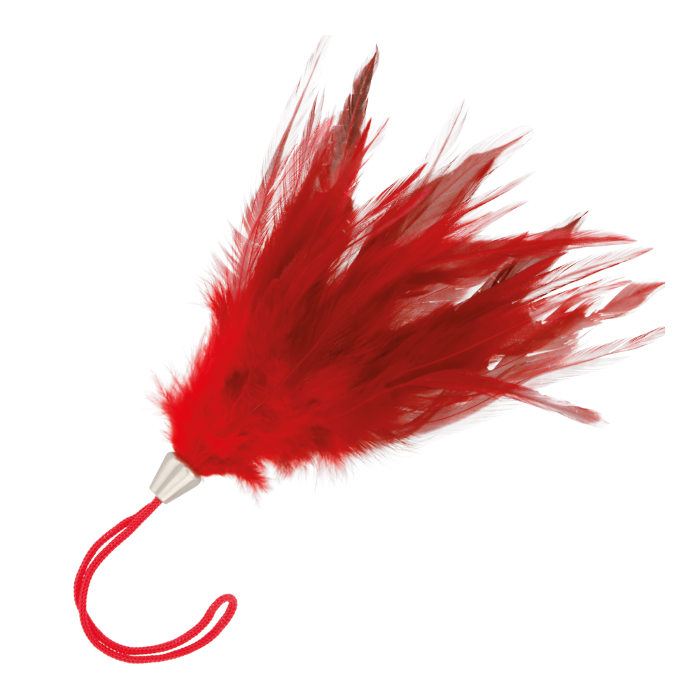 DARKNESS - PLUME ROUGE 17CM