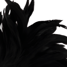 DARKNESS - BLACK FEATHER LUX