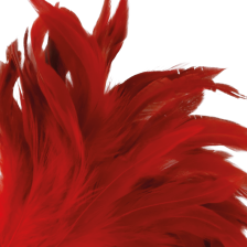 DARKNESS - RED FEATHER 24CM