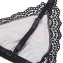 SUBBLIME - FANTASIA SEXY UNIVERSITRIA S/M