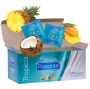 PASANTE - TROPICAL MANGO PINEAPPLE AND COCONUT FLAVOURED CONDOMS 53 MM 144 UNITS