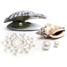BIJOUX INDISCRETS - MIMI PERLE D'OR