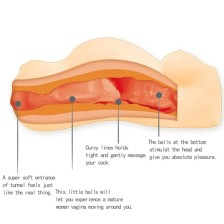 BAILE - MALE MINIMASTURBADOR FOR PREGNANT WOMAN