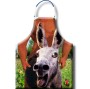 DIABLO PICANTE - AVENTAL DE BURRO