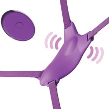 FANTASY FOR HER - HARNAIS PAPILLON, VIBRANT RECHARGEABLE & TÉLÉCOMMANDE VIOLET