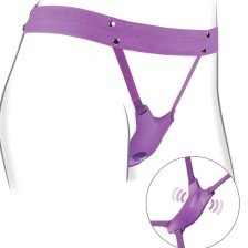 FANTASY FOR HER - HARNAIS PAPILLON, VIBRANT RECHARGEABLE & TÉLÉCOMMANDE VIOLET