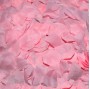 DIABLO PICANTE - 100 PINK PETALS
