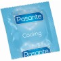 PASANTE - CONDOMS COOLING EFFECT BAG 144 UNITS