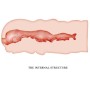 CRAZY BULL - MASTURBADOR VAGINA ISABEL 13.5 CM