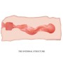 CRAZY BULL - MASTURBATORE VAGINA JANE 13.5 CM