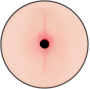 JAMYJOB - RANDY DOUBLE HOLE MASTURBATOR - VAGINA AND ANUS