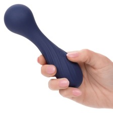 CALEXOTICS - CHARISMA TEMPTATION MASSAGER 12 FUNCTIONS PURPLE