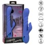 CALEXOTICS - LA LOVE VIBRATOR & SAUGROHR BLAU VON CALIFORNIA DREAMING