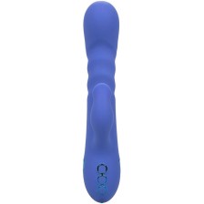 CALEXOTICS - LA LOVE VIBRATOR & SAUGROHR BLAU VON CALIFORNIA DREAMING