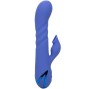 CALEXOTICS - L.A LOVE VIBRATOR & SUCTION BLUE BY CALIFORNIA DREAMING